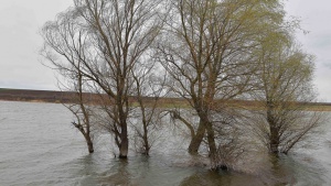 В 5 области ще има обилни валежи днес