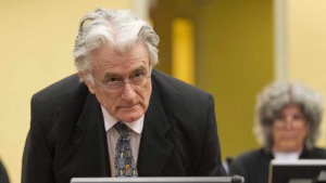 Караджич ще обжалва присъдата си