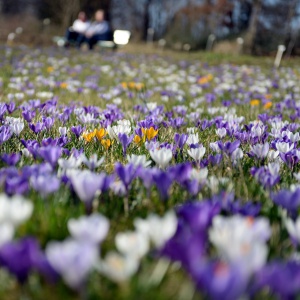 Пролетта отново се завръща