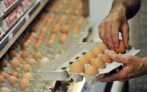 В Агенцията по храните е подаден сигнал за опасни яйца
