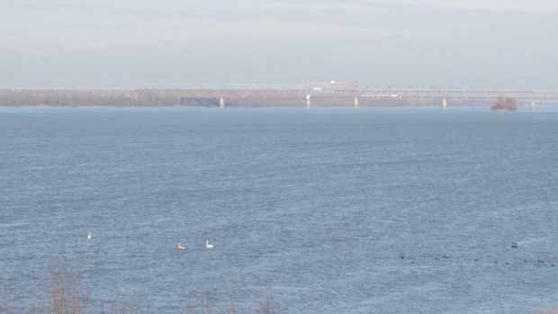 Нивото на река Дунав се вдига, започва денонощно наблюдение