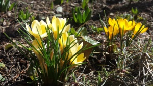 Ще бъде слънчево с максимални температури между 22° и 27°
