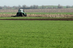 Земеделската земя е поскъпнала със 7% през миналата година