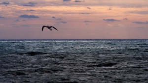 Хотелите в България може да предложат на всеки турист бонус от 30 евро