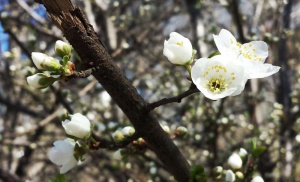 Какво ще е времето до края на месеца?
