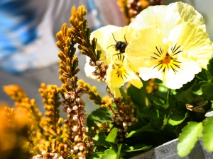 Температурите се покачват, но продължава да вали