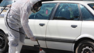 ЕК да излезе с решение за мерките срещу нодуларния дерматит, настоява България