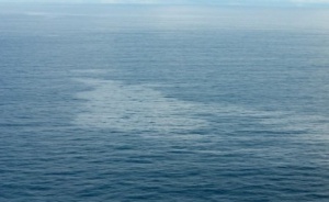 Откриха две тела от египетския самолет