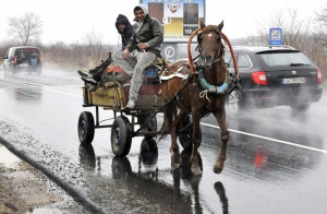 Сливенските общинари забраниха каруците и бурките