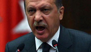 Партията на Ердоган иска конституционни промени, които да позволят на президента партийна активност
