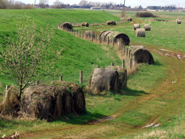 Изненада: Всеки трети трудоспособен българин работи в селските райони