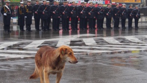 Текучеството в армията достига 20%