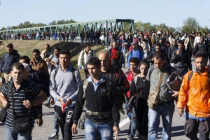 Импровизиран бежански лагер изникна на границата между Сърбия и Унгария