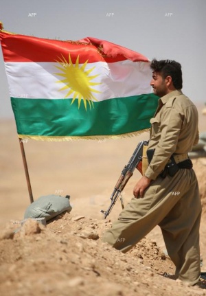 Сирийските кюрди готови да си сътрудничат с Дамаск срещу ДАЕШ, ако се признае автономността им