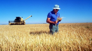 Зърнопроизводители очакват слаба реколта