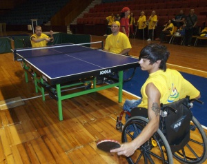 Кабинетът отпусна 1.3 млн. лева за спорта при хората с увреждания