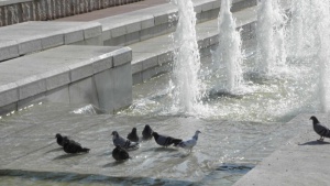 Жълт код за горещини в 24 области, на морето и за бурен вятър