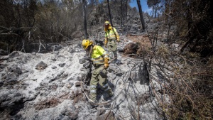 Кипър се опитва да потуши най-лошите горски пожари от години насам