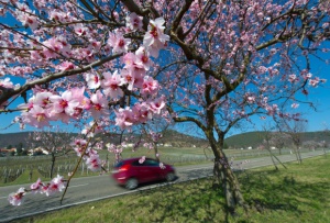 Идва астрономическото лято, юли започва с дъждове