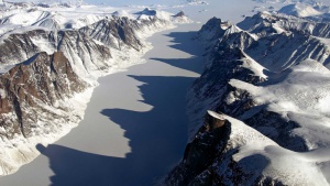 Водорасли „космополити“ ускоряват топенето на ледовете в Арктика