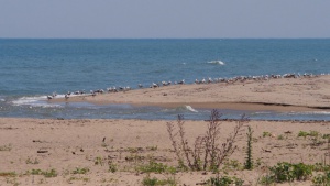 Никой не иска плажа в Камчия,  дори след драстичното намаление на наема