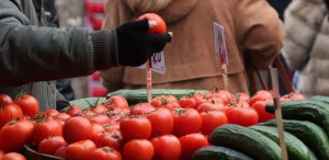 Кремъл забрани отглеждането на ГМО продукти