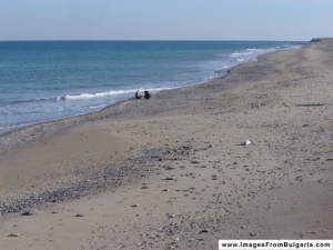 Комисиите по външна политика и отбрана ще обсъждат сигурността в Черно море