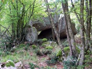 Издирват 24 деца, изгубени в планина в Южен Уелс