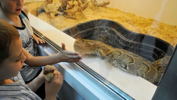 Нов терариум в Хасковските минерални бани