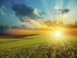 Юли започва със слънчево и топло време