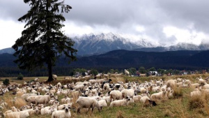 Северозападният район е получил повече евросредства от Югозападния, каза Томислав Дончев