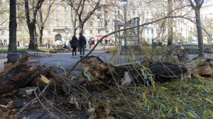 Мощна буря в Русе изкорени дървета и потроши клони