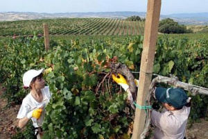 След Брекзит хиляди работници от ЕС се тревожат за бъдещето си