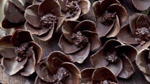 Кои са най-вкусните шоколади в света
