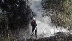 27 пожара са възникнали в Пиринско за 3 дни