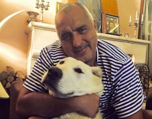 Бойко Борисов: Кадиев не е в час, кучетата ми са три, а не едно