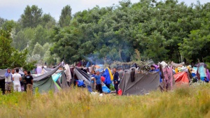 Засилен мигрантски натиск към страната ни! Задържаха 45 чужденци за ден на границата със Сърбия