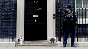 Котката Гладстон започна работа в британската хазна