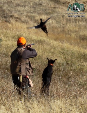 Над 3 700 са новите ловци тази година