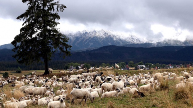 Северозападният район е получил повече евросредства от Югозападния, каза Томислав Дончев