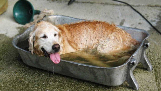 Внимание! Опасни горещини в цяла България