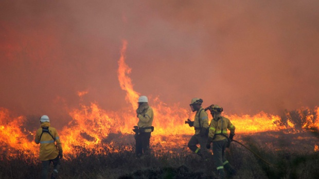 България пламна: Голям пожар край Хасково,  хиляди декари горят край Благоевград и Варна