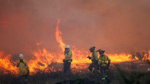 Пожарът в община Маджарово е овладян, бедственото положение остава в сила