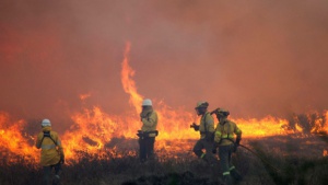 Пожарната обстановка в страната остава усложнена