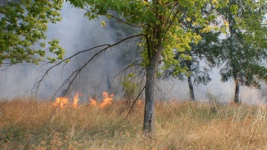Военнослужещи и хеликоптер гасят пожар в района на село Црънча