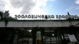 Ремонт на входа на Зоологическата градина в София