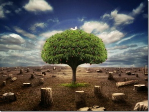 Природните ресурси за цялата година са изчерпани