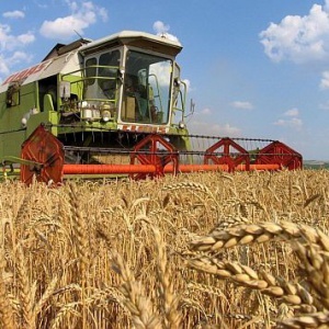 Износът на България за ЕС расте