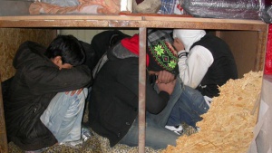 Открити нелегални мигранти в български камион