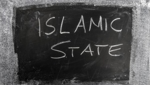 Подкрепяните от САЩ сили са поели контрола над сирийския град Манбидж